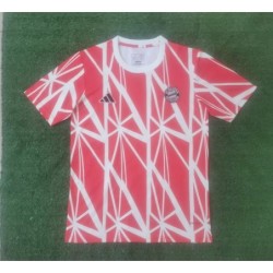 Camiseta Entrenamiento Bayern München 2024/25