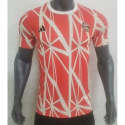 Camiseta Entrenamiento Bayern München 2024/25