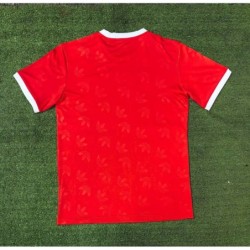 Camiseta De Fútbol 1ª Equipación Bayern München 2024/25