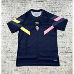 Camiseta Entrenamiento Juventus 2024/25